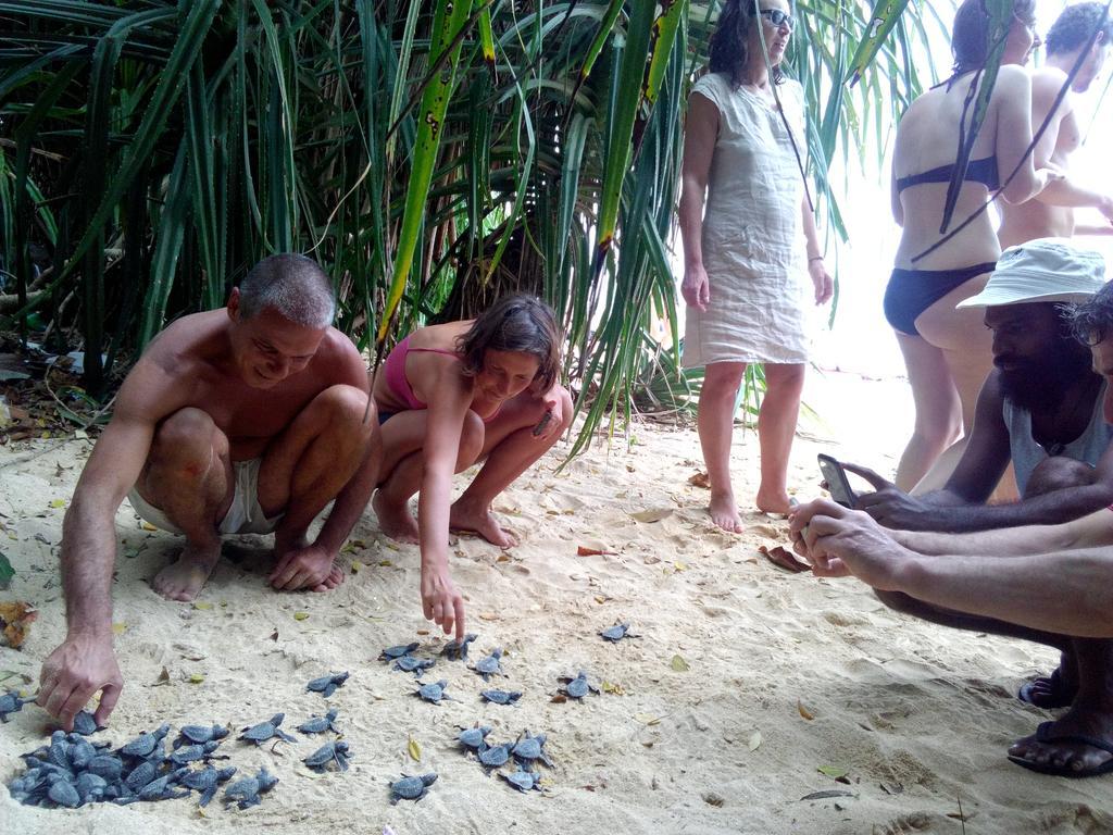 Sayuri Beach Hotel Matara Eksteriør billede