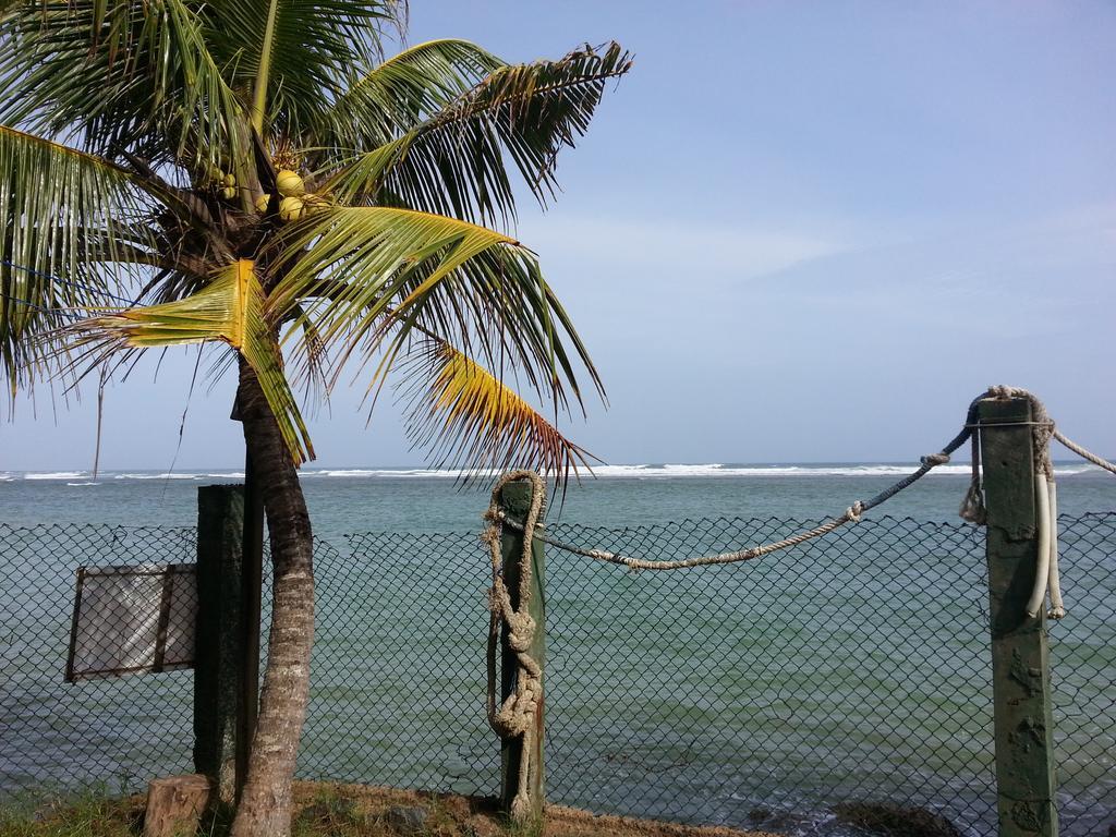 Sayuri Beach Hotel Matara Eksteriør billede