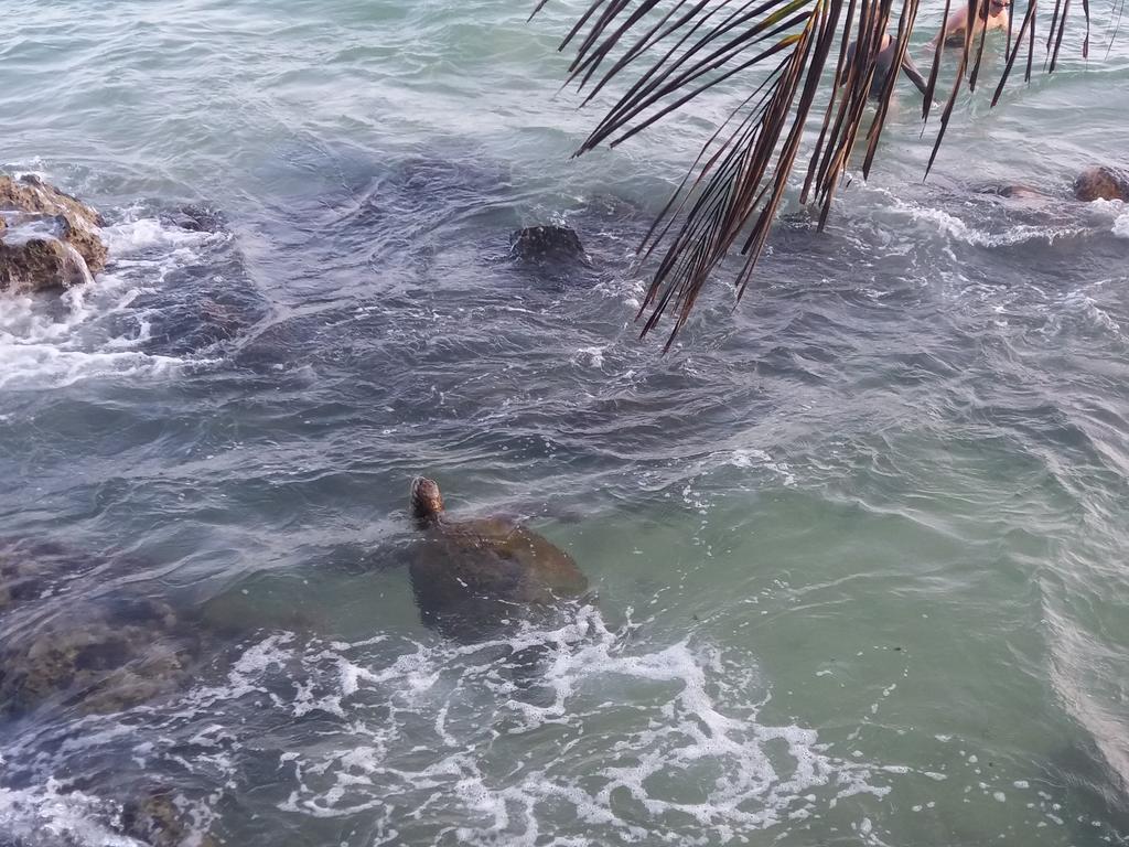 Sayuri Beach Hotel Matara Eksteriør billede